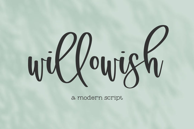 Willowish Modern Calligraphy Font Font Beck McCormick 