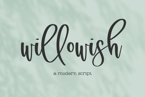 Willowish Modern Calligraphy Font Font Beck McCormick 