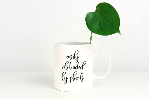 Willowish Modern Calligraphy Font Font Beck McCormick 