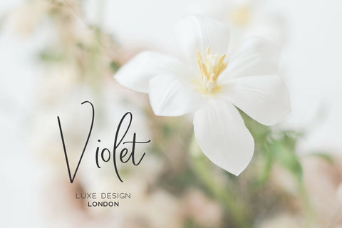 Windswept Heart Script Font Beck McCormick 