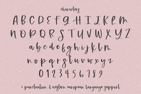 Winesborough Script Font Beck McCormick 