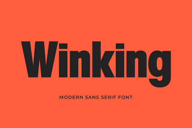 Winking - Modern Sans Serif Font studioalmeera 