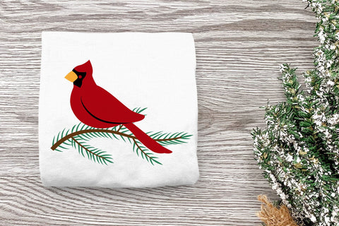 Winter Cardinal on Pine Branch SVG SVG Risa Rocks It 