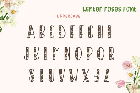 Winter Roses - Decorative Font Font AnningArts Design 