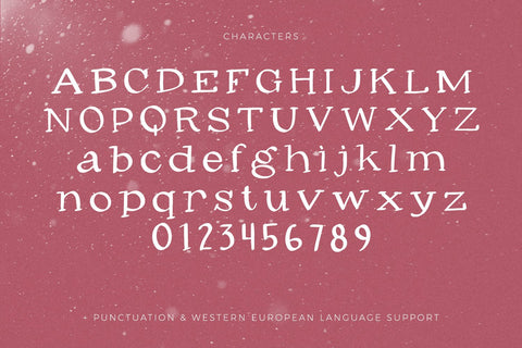 Winter Spice Serif Font Beck McCormick 