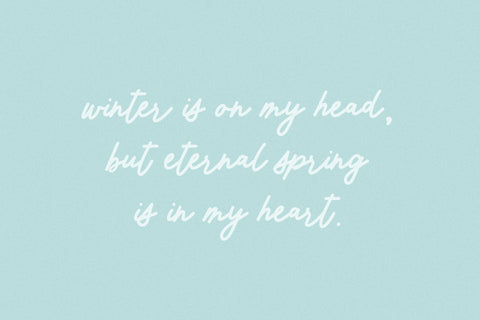 Wintermint Script Font Beck McCormick 