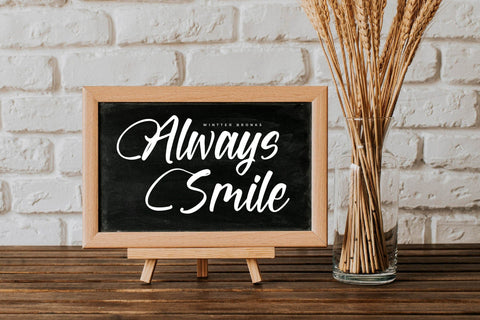 Wintter Bronks - Modern Handwritten Script Font Letterena Studios 