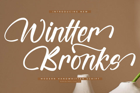 Wintter Bronks - Modern Handwritten Script Font Letterena Studios 
