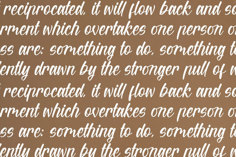 Wintter Bronks - Modern Handwritten Script Font Letterena Studios 