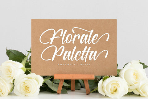 Wintter Bronks - Modern Handwritten Script Font Letterena Studios 