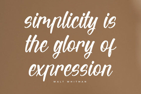 Wintter Bronks - Modern Handwritten Script Font Letterena Studios 