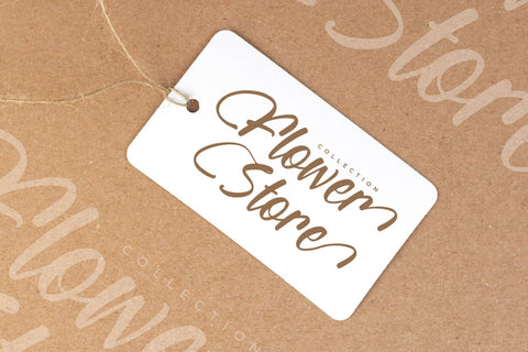 Wintter Bronks - Modern Handwritten Script Font Letterena Studios 