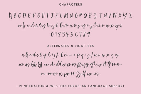 Wishmaker Script Font Beck McCormick 
