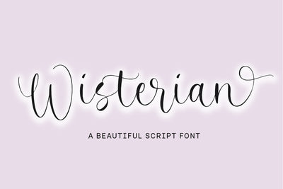 Wisterian Beautiful Script Font Font Balpirick 