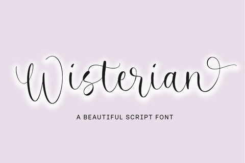 Wisterian Beautiful Script Font Font Balpirick 