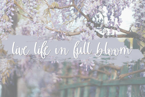 Wisterian Script Font Beck McCormick 