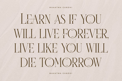 Wistern Typeface Font Storytype Studio 