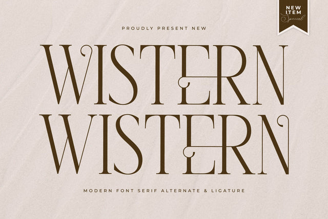 Wistern Typeface Font Storytype Studio 