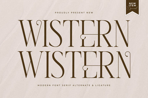 Wistern Typeface Font Storytype Studio 