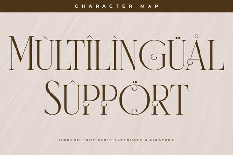 Wistern Typeface Font Storytype Studio 