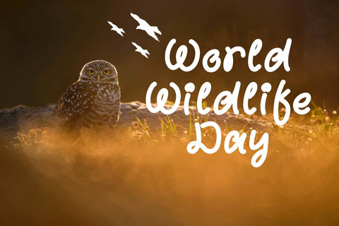 With Bomby Font Prasetya Letter 