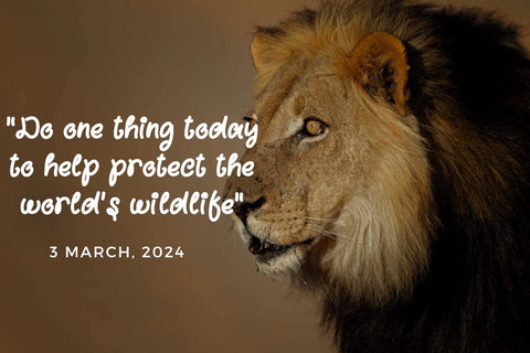 With Bomby Font Prasetya Letter 