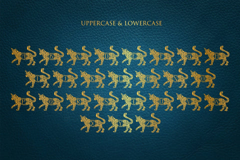 Wonder Cat Mandala Monogram Font Dm Letter Studio 