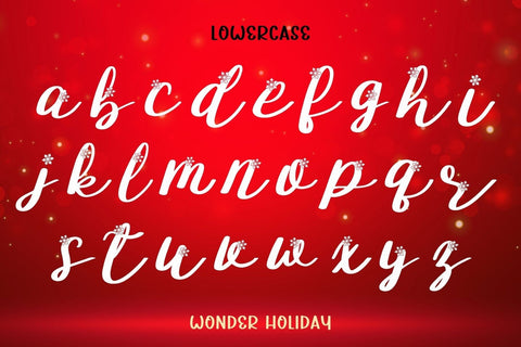 Wonder Holiday - Script Font Font AnningArts Design 