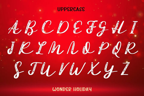 Wonder Holiday - Script Font Font AnningArts Design 