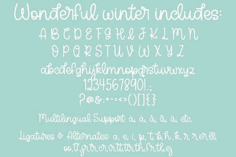 Wonderful Winter, Cute Handwritten Font for Cricut, Cursive Christmas Handwriting Font Designing Digitals 