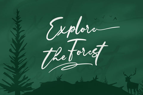 Wondertis Brush Typeface Font Fadeline Std. 