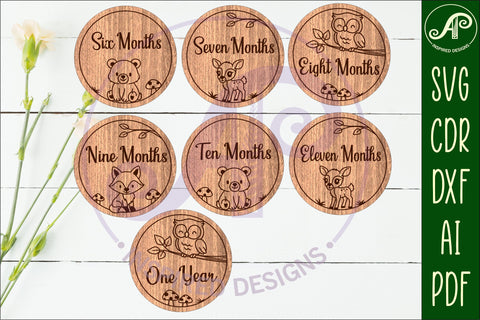Woodland animals themed Baby monthly milestone discs SVG SVG APInspireddesigns 