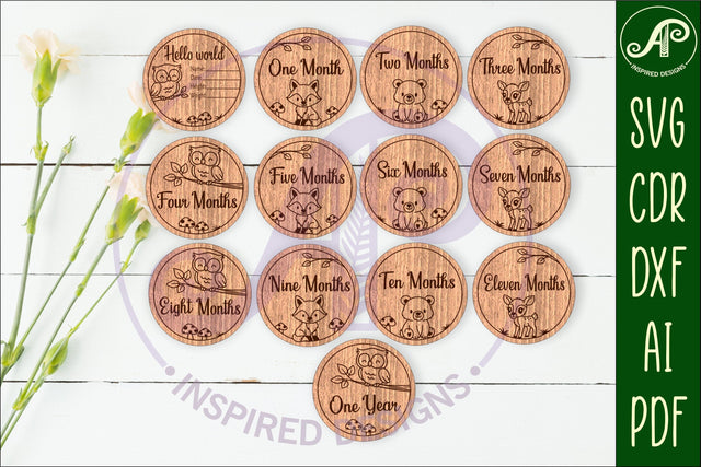 Woodland animals themed Baby monthly milestone discs SVG SVG APInspireddesigns 