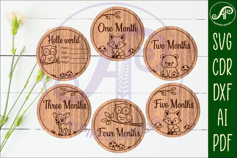 Woodland animals themed Baby monthly milestone discs SVG SVG APInspireddesigns 