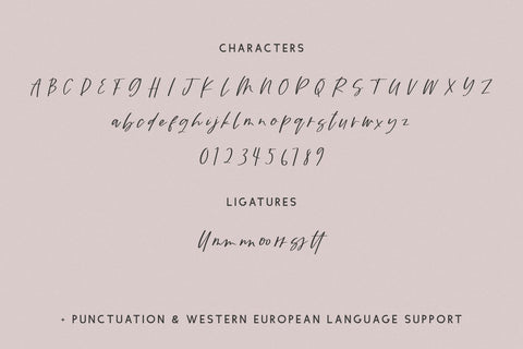 Wyldebrook Script Font Beck McCormick 