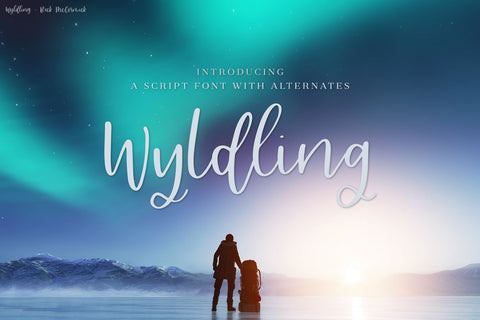 Wyldling Script Font Font Beck McCormick 