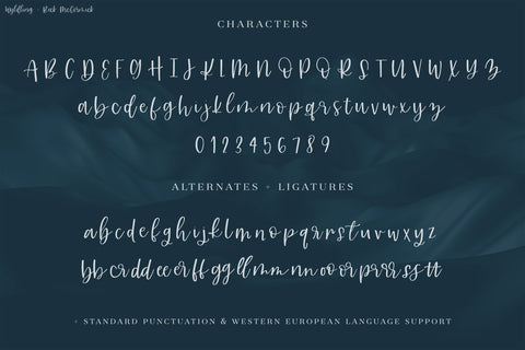 Wyldling Script Font Font Beck McCormick 