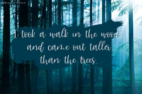 Wyldling Script Font Font Beck McCormick 