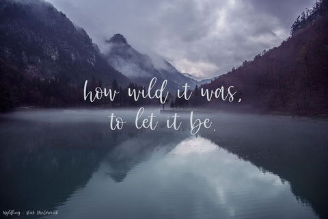 Wyldling Script Font Font Beck McCormick 