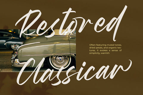 Wystine Esphelta - Modern Brush Font Font Letterena Studios 