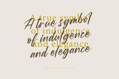 Wystine Esphelta - Modern Brush Font Font Letterena Studios 