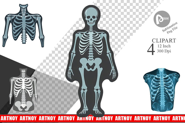 X-Ray Scan Clipart Sublimation artnoy 