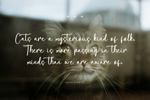 Yanhir Amolesthic - Freestyle Crafty Script Font Letterena Studios 