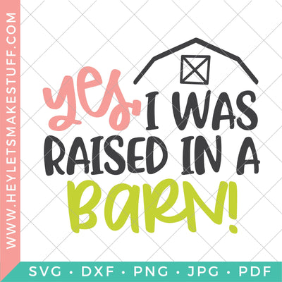 Yes I Was Raised in a Barn SVG Hey Let's Make Stuff 