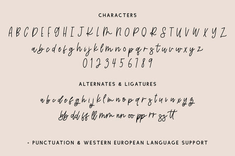 Yesteryear Script Font Beck McCormick 