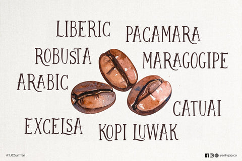 YJC Sun Trail - A Warm Rustic Handwritten Font for Branding & Crafts Font Yenty Jap Creative 