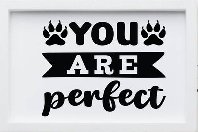 You are perfect-01 SVG Angelina750 