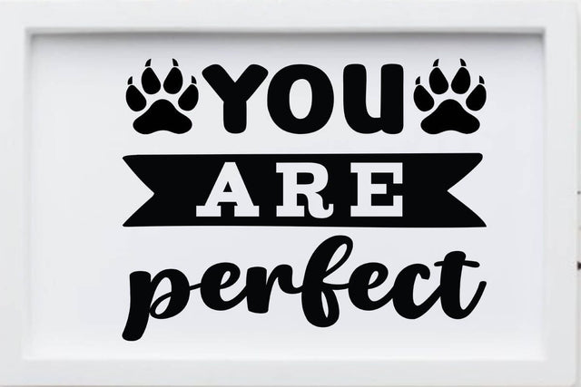 You are perfect-01 SVG Angelina750 