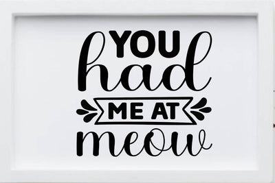 You had me at meow-01 SVG Angelina750 