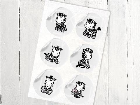 Zebra SVG Design Set SVG HalieKStudio 